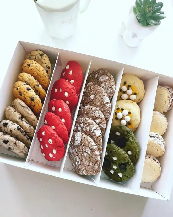 Santa Galleta